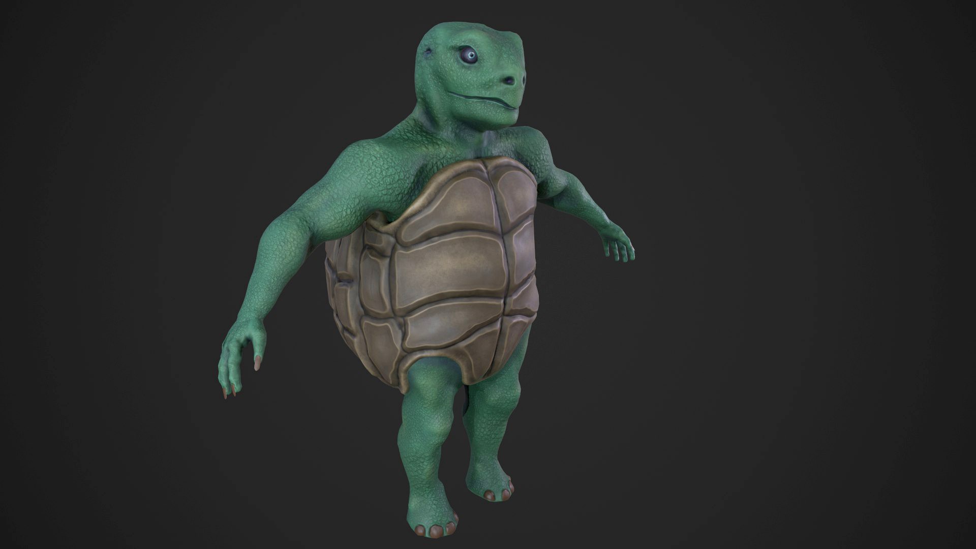 Turtle character