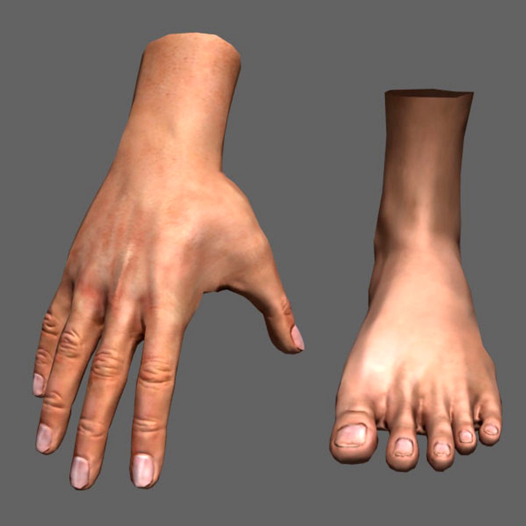 Hand and Feet (Rigged)