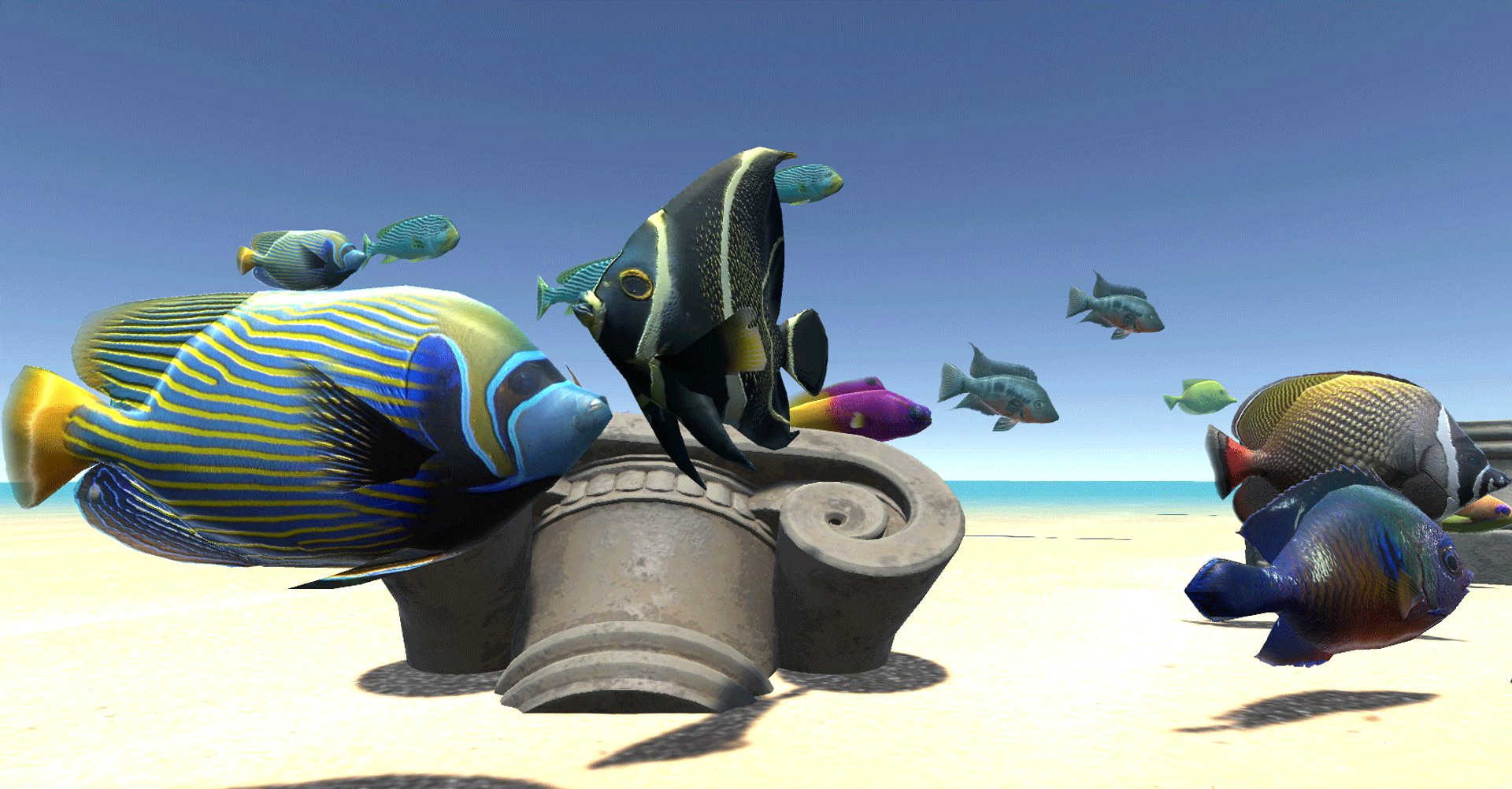 Sea fish - underwater world