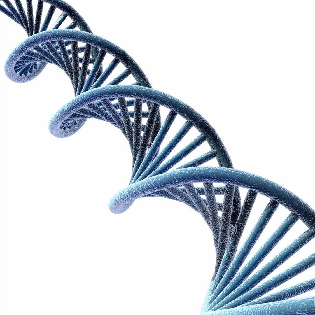 DNA