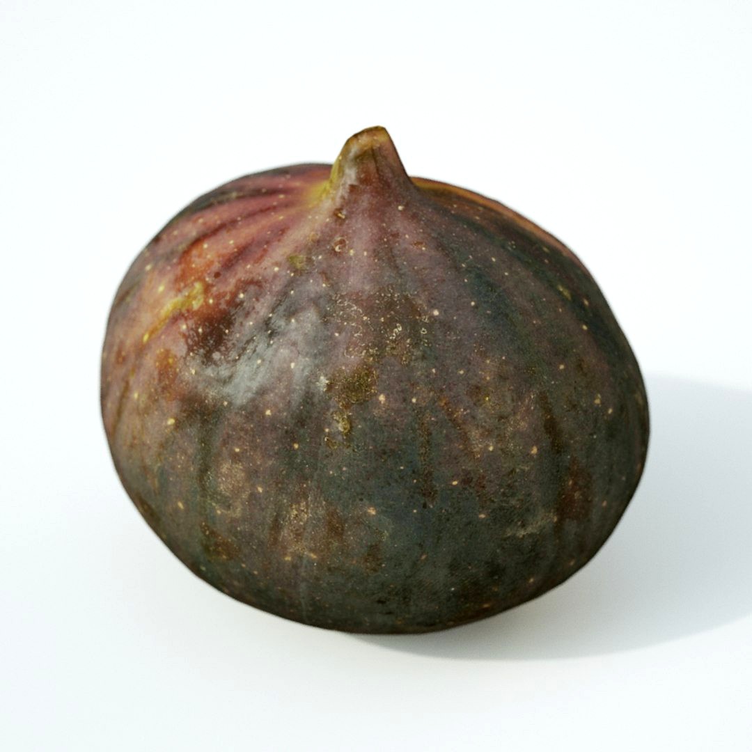 Fig 2