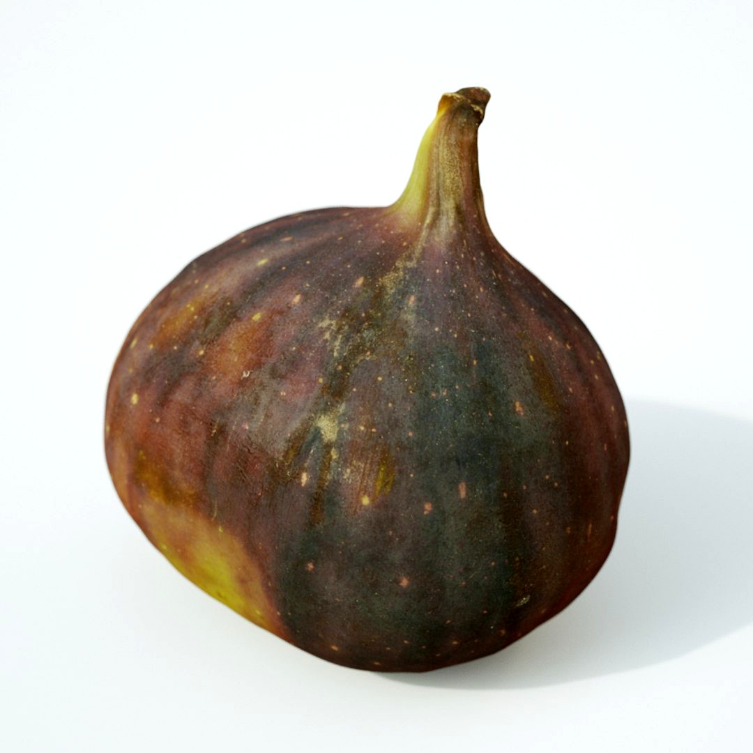 Fig