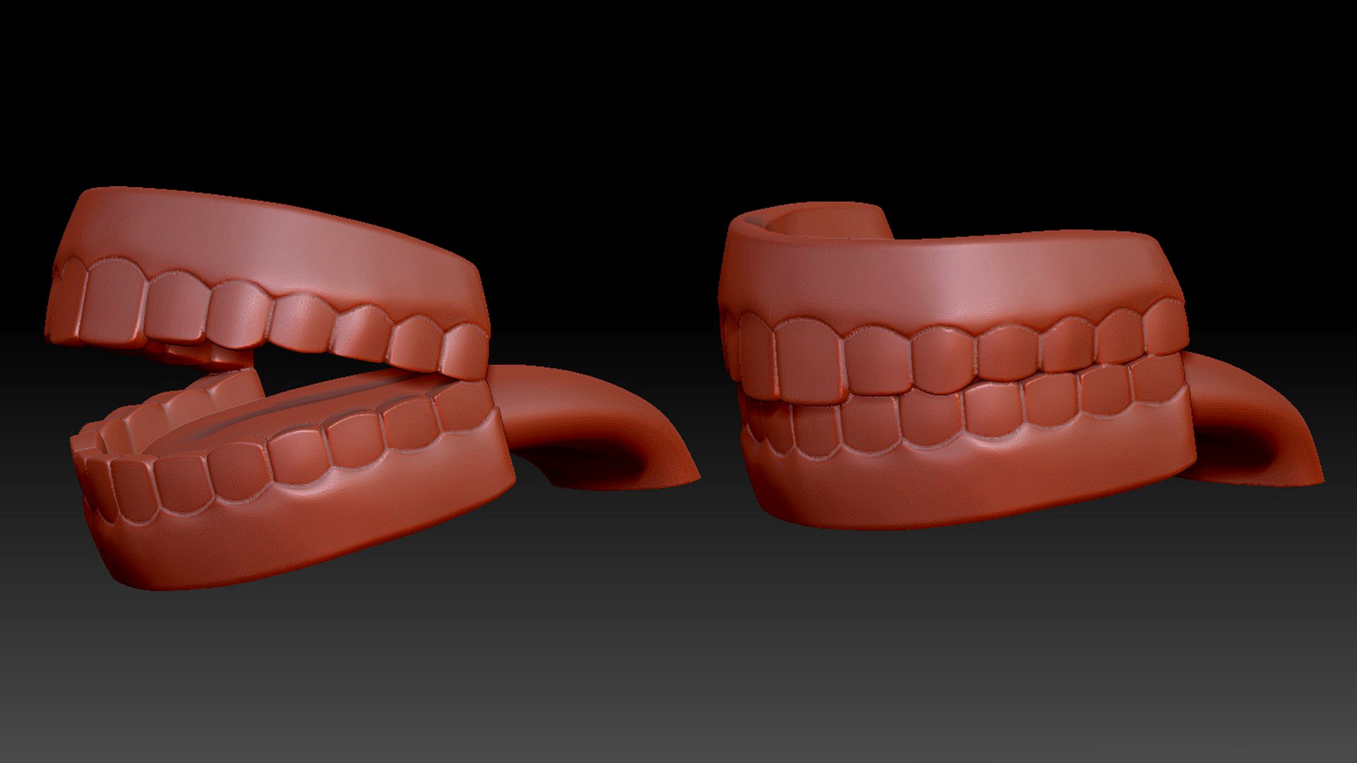 Human Mouth Teeth  ready for 3D printing