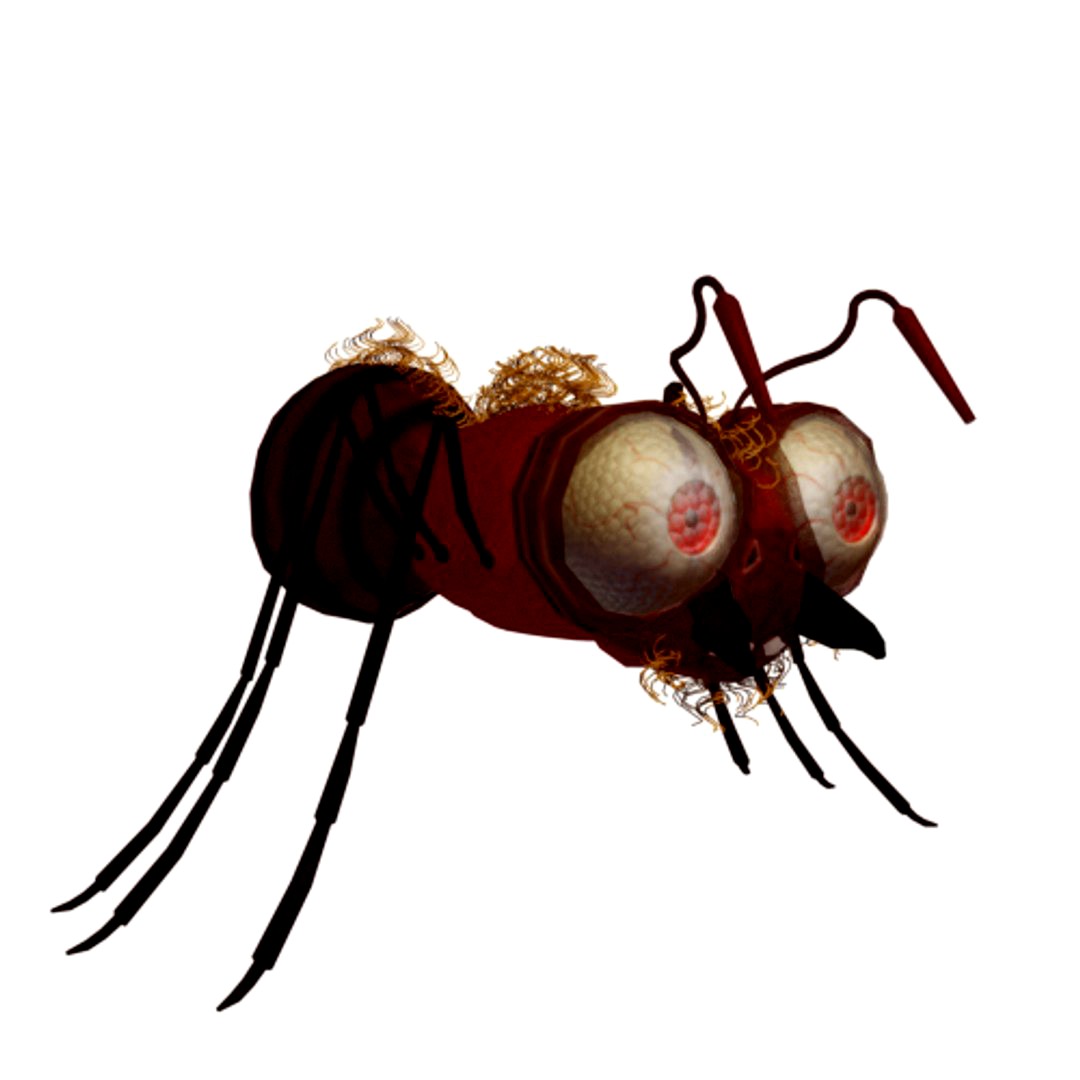ant