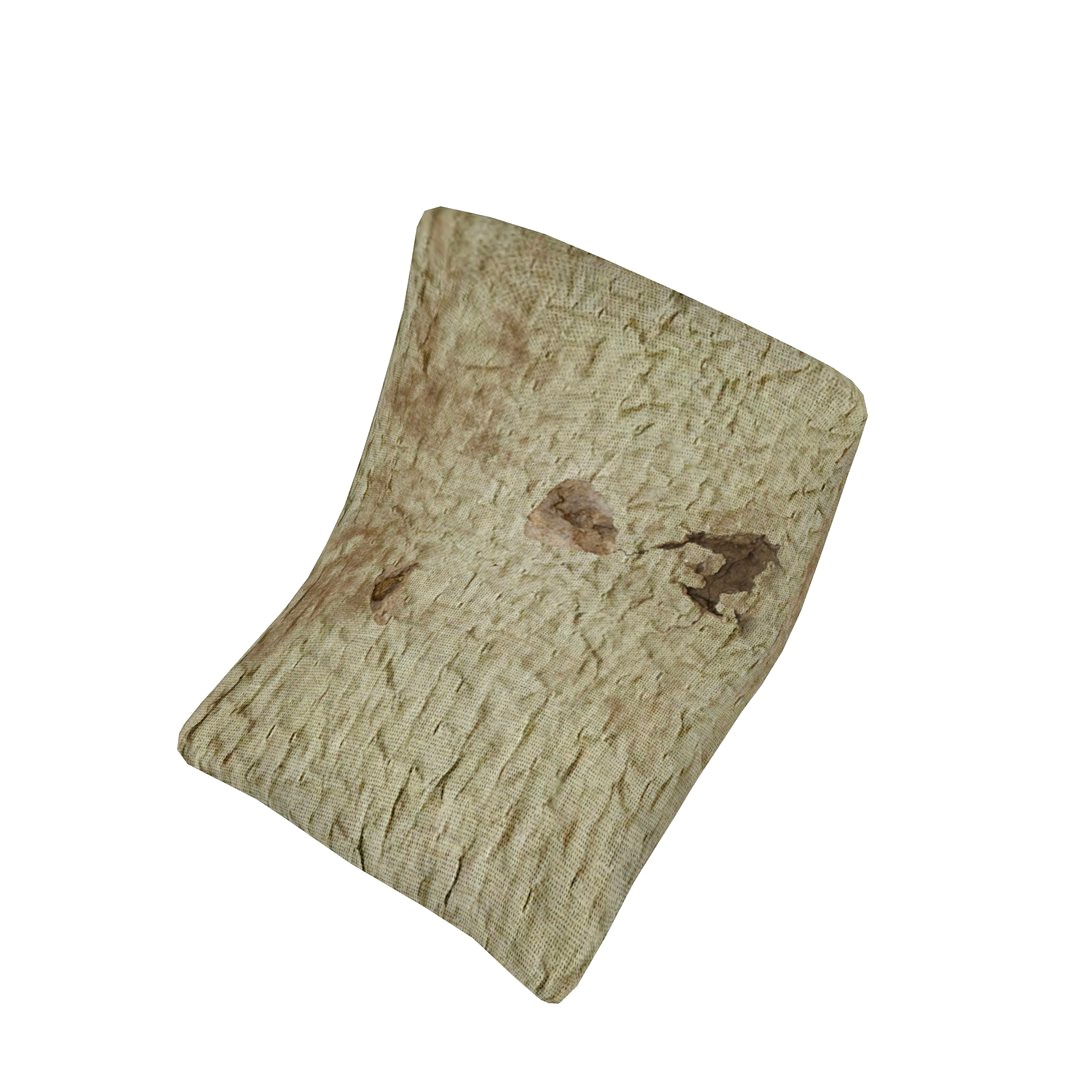 Pillows 05