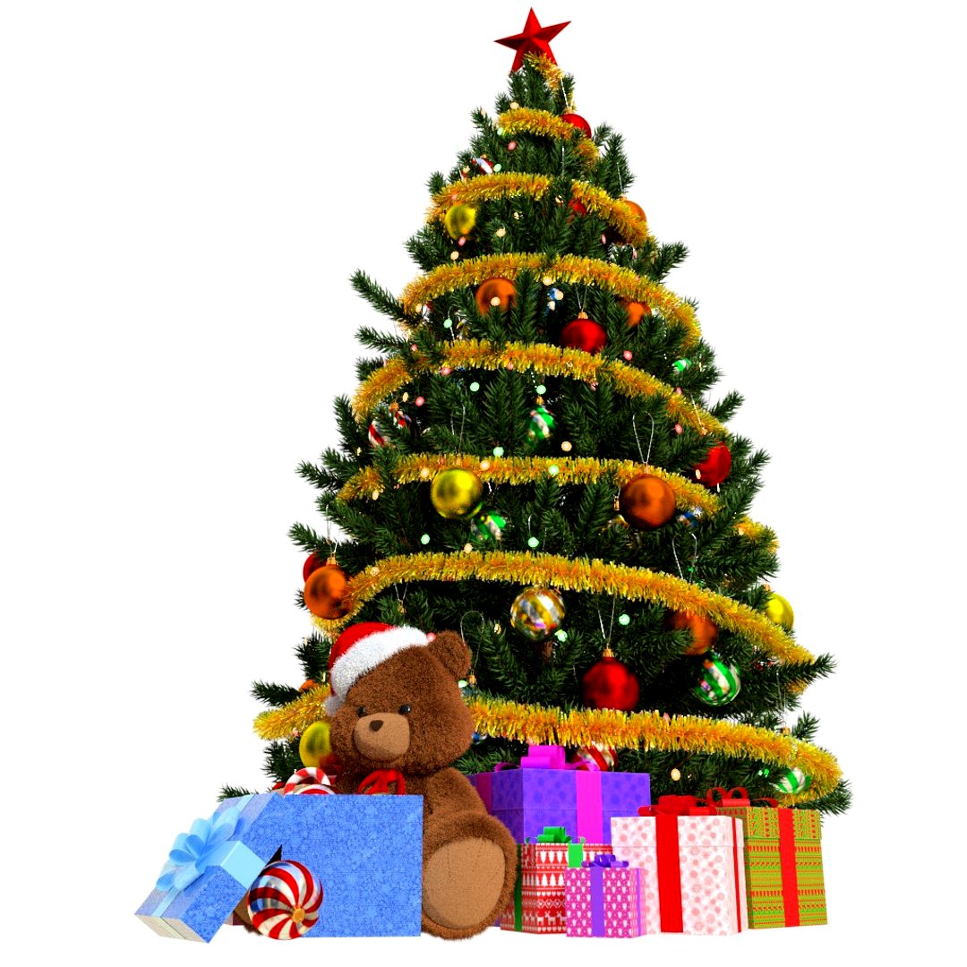 Fir tree 04