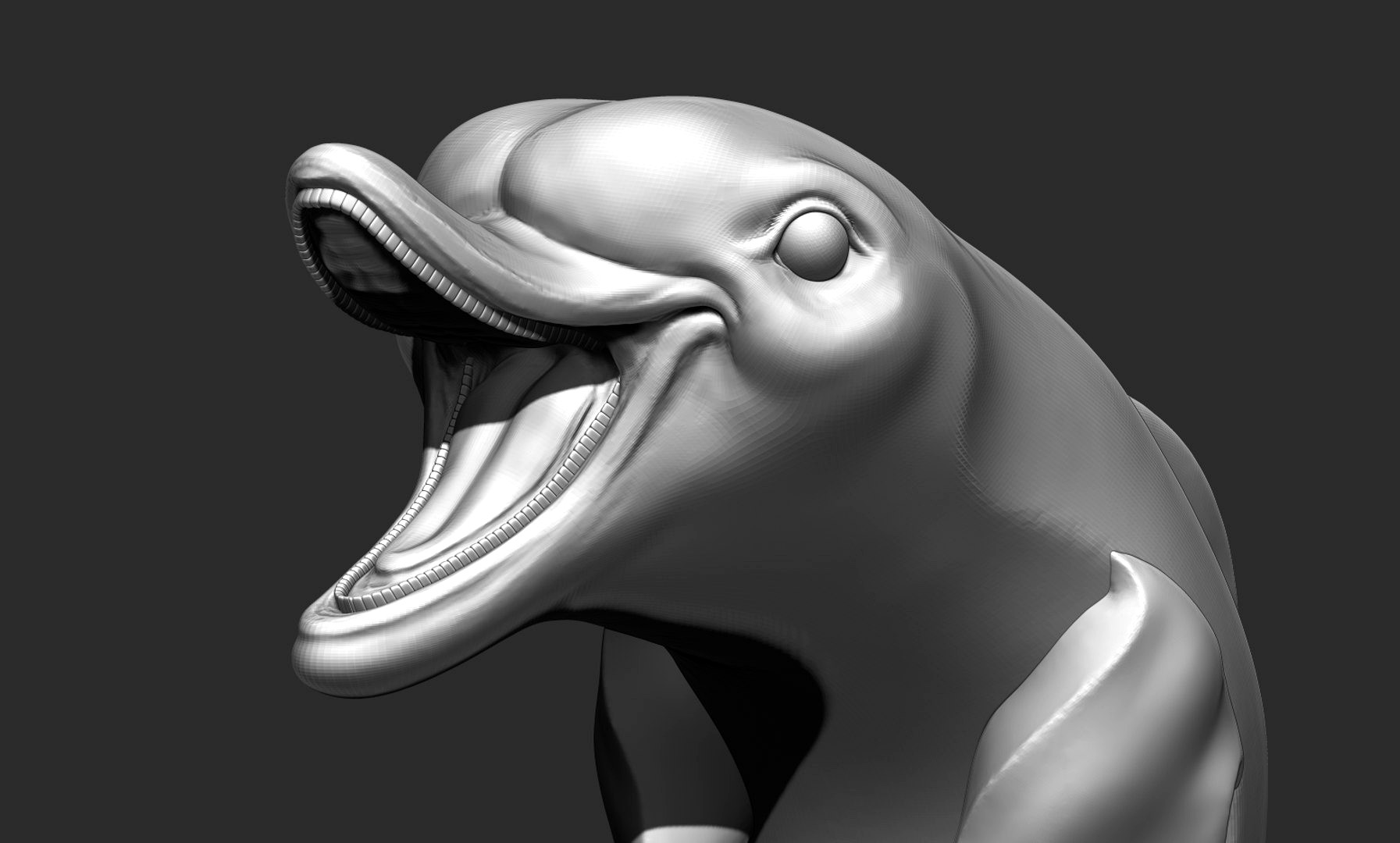 Dolphin happy