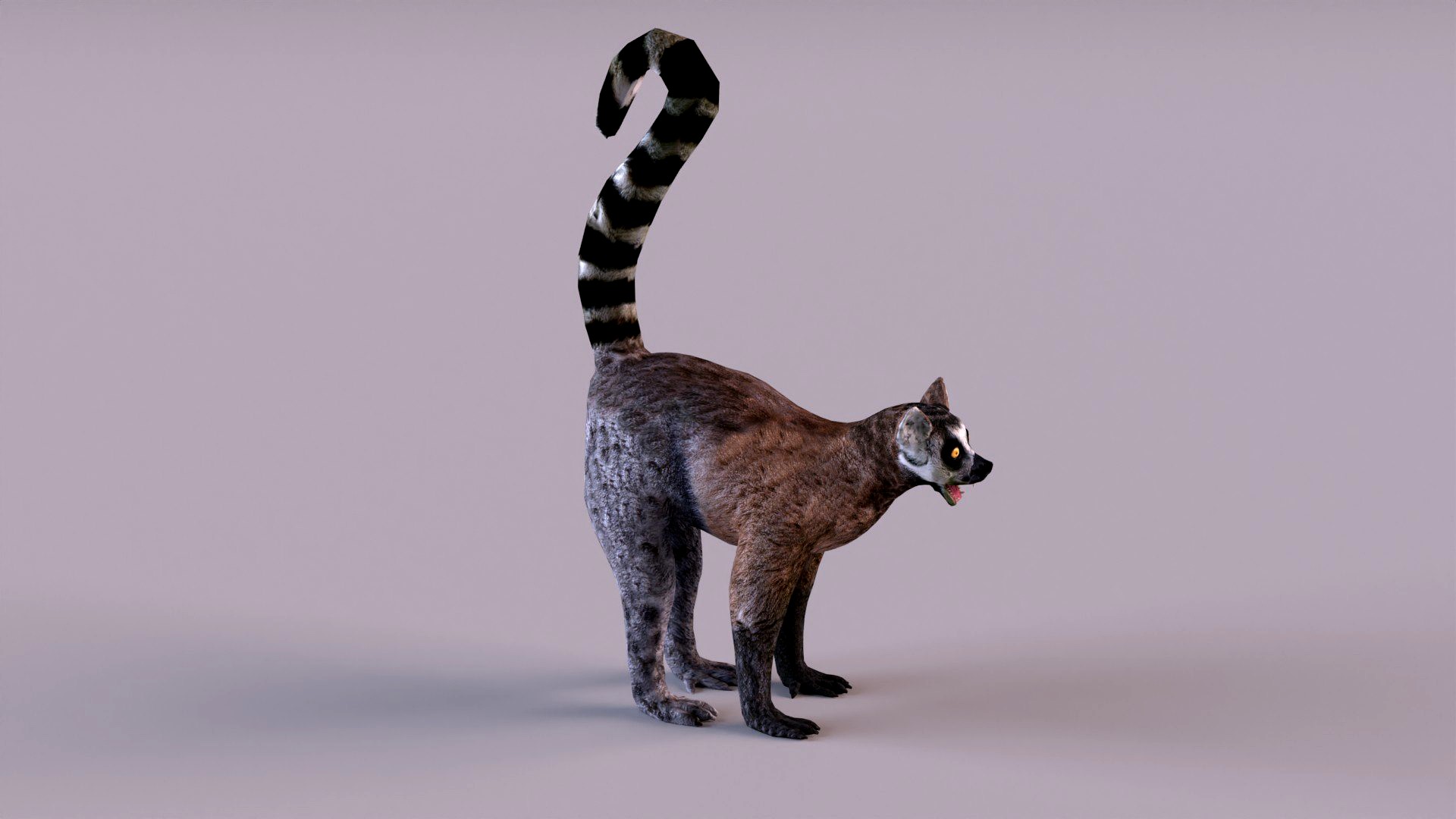 Lemur