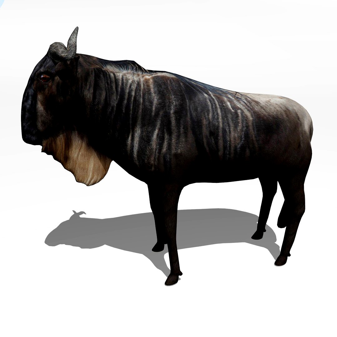 Gnu