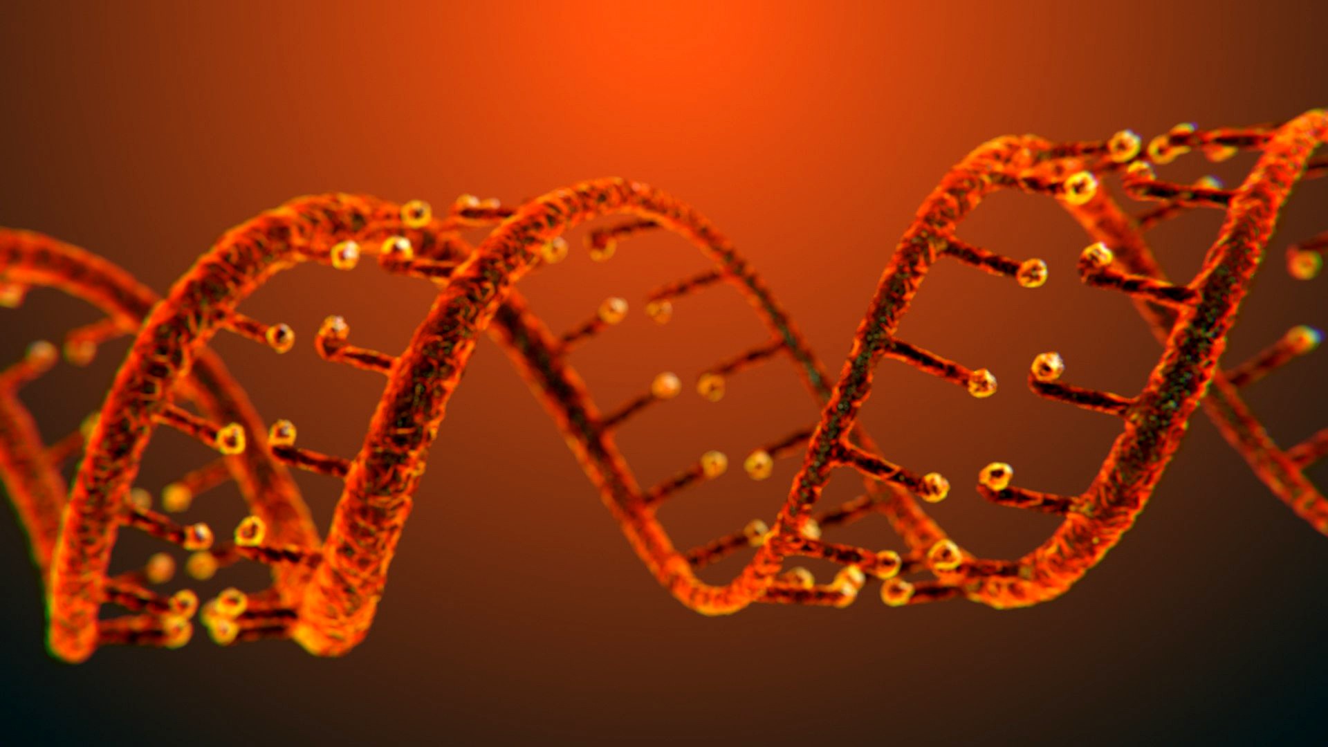 DNA Static Hipoly Model