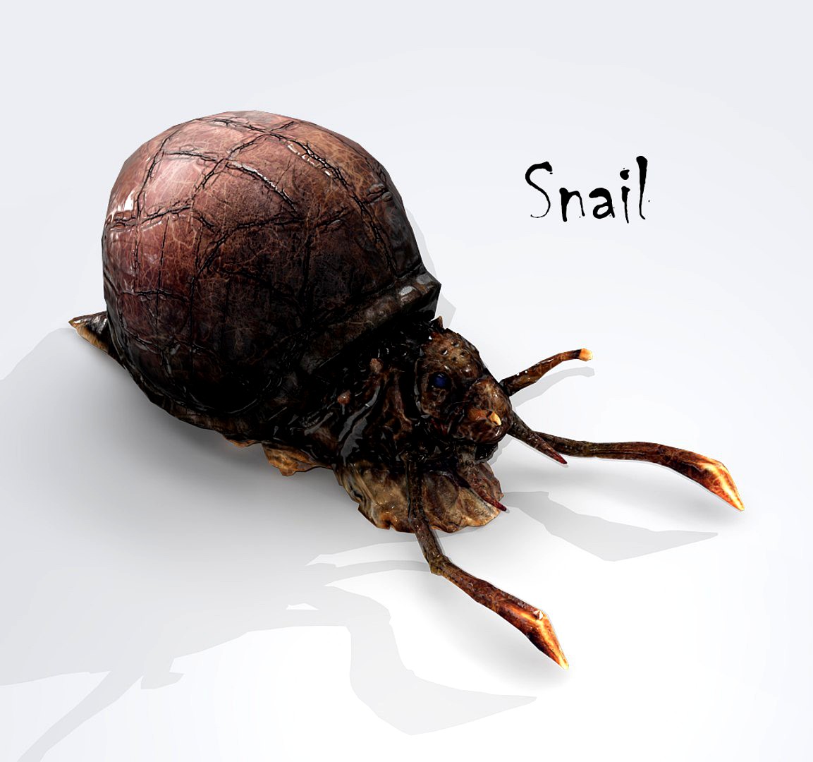 Snail