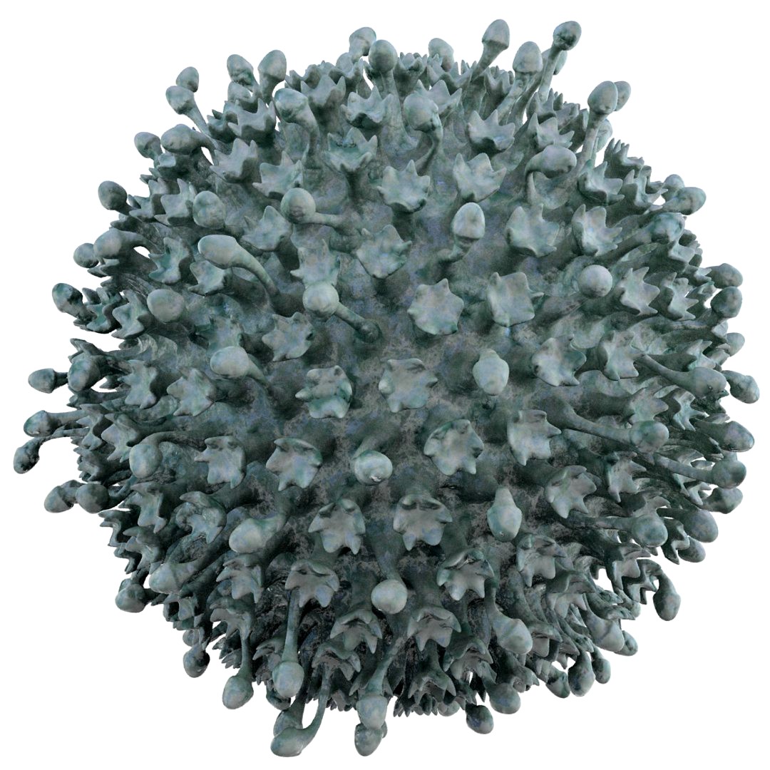 Micro Object MHT 081