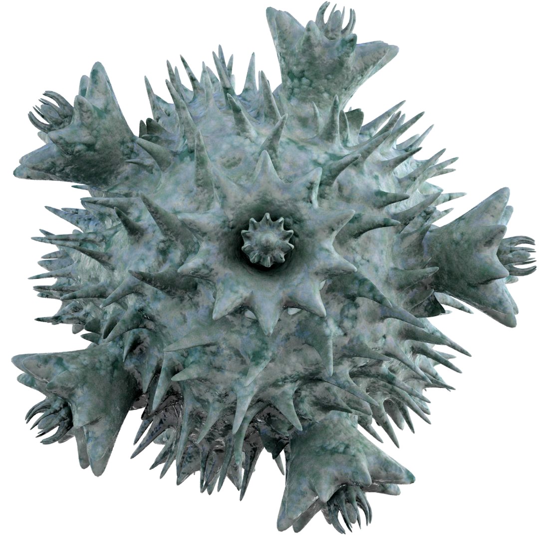 Micro Object MHT 047