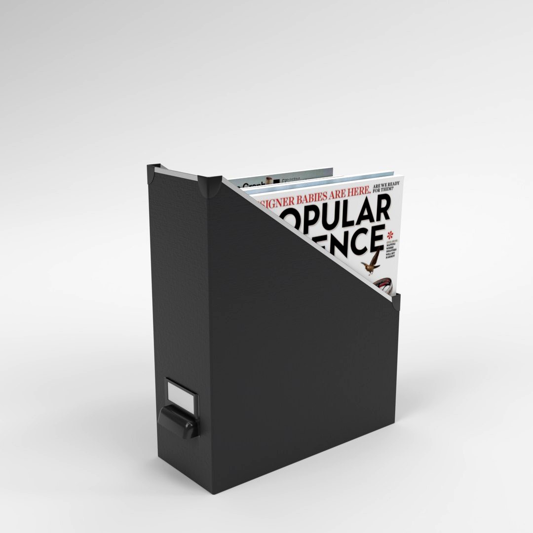 Ikea FJLLA Magazine file