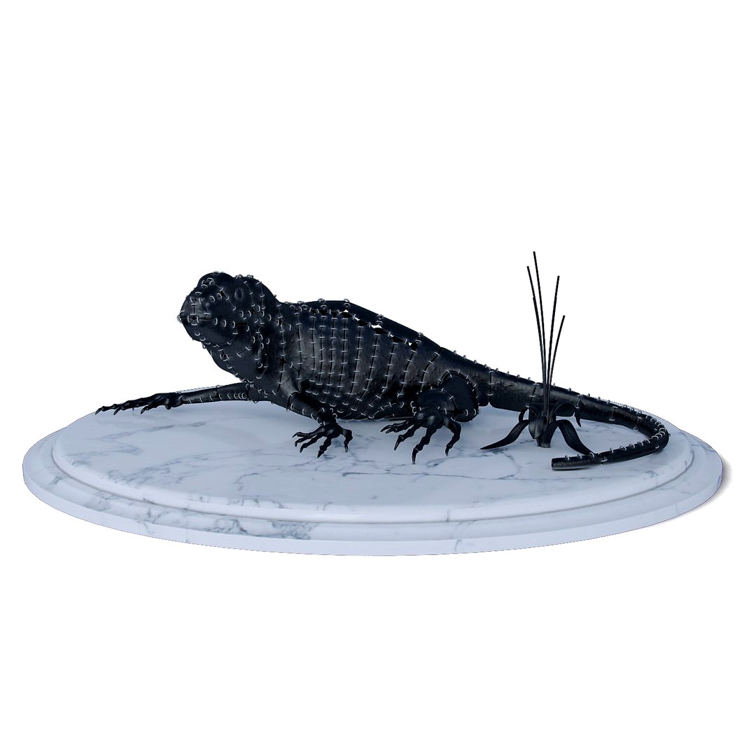 Lizard