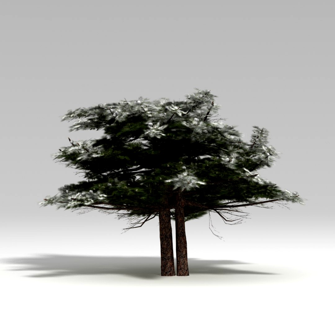 snowtree V2