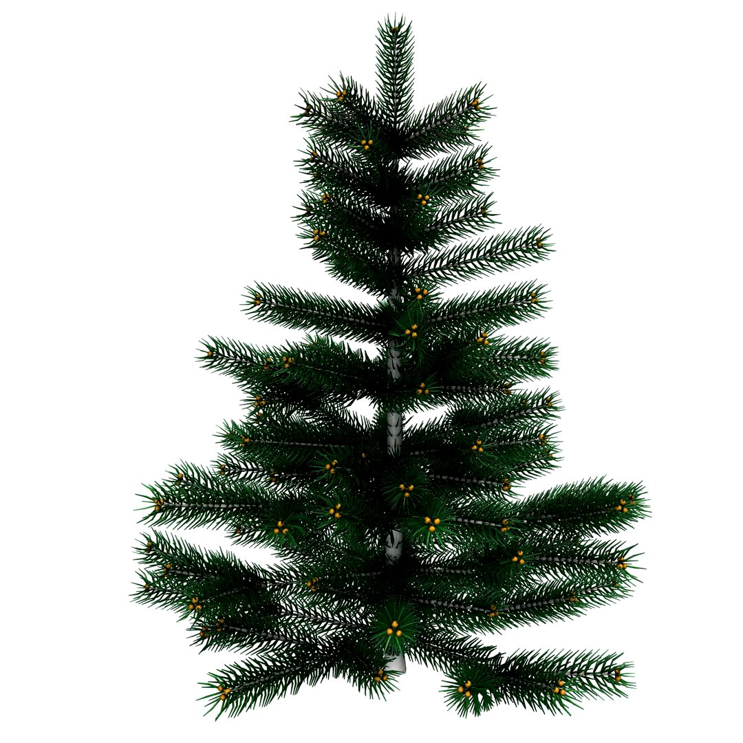 fir tree