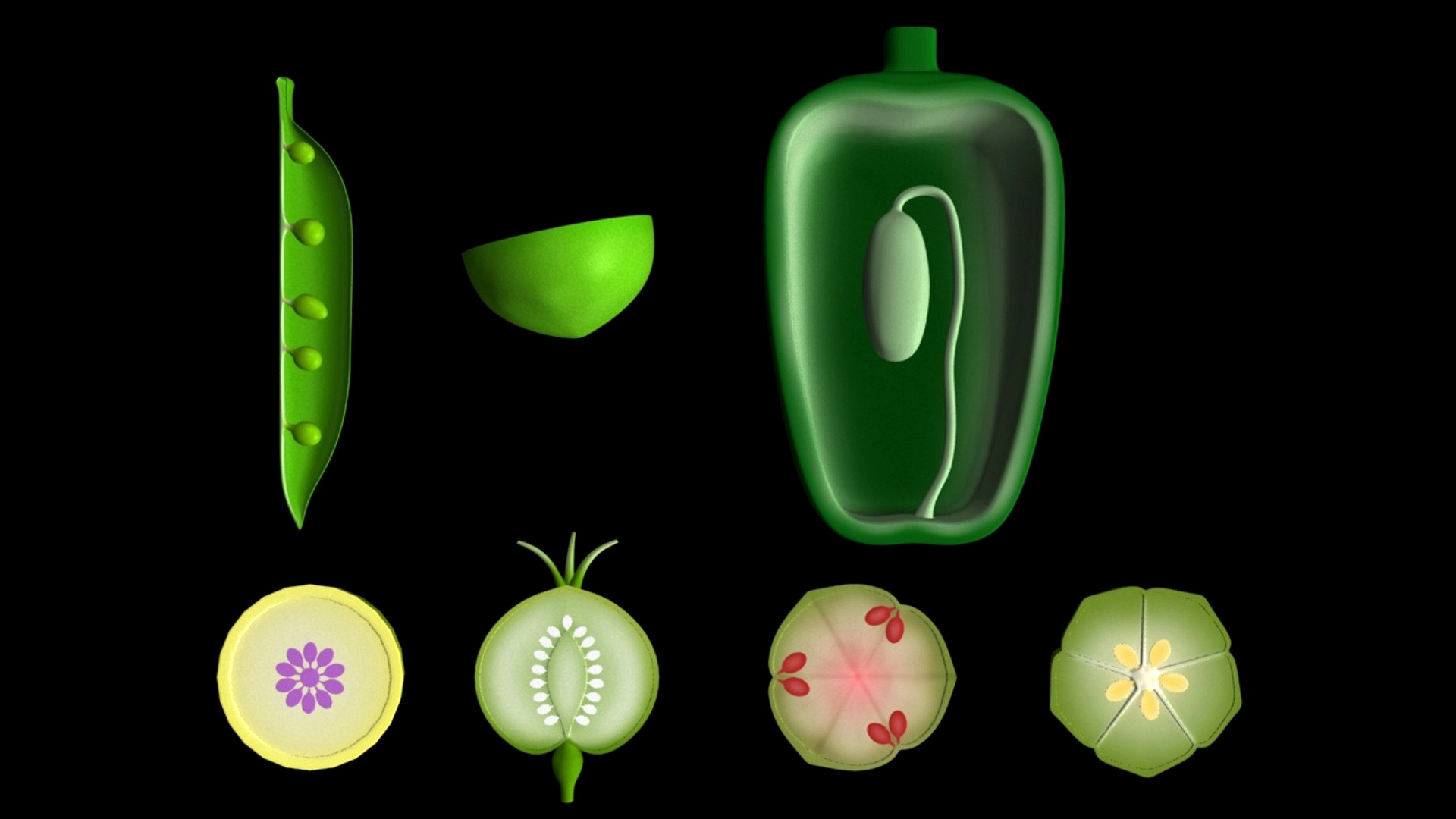 Types of Placentation