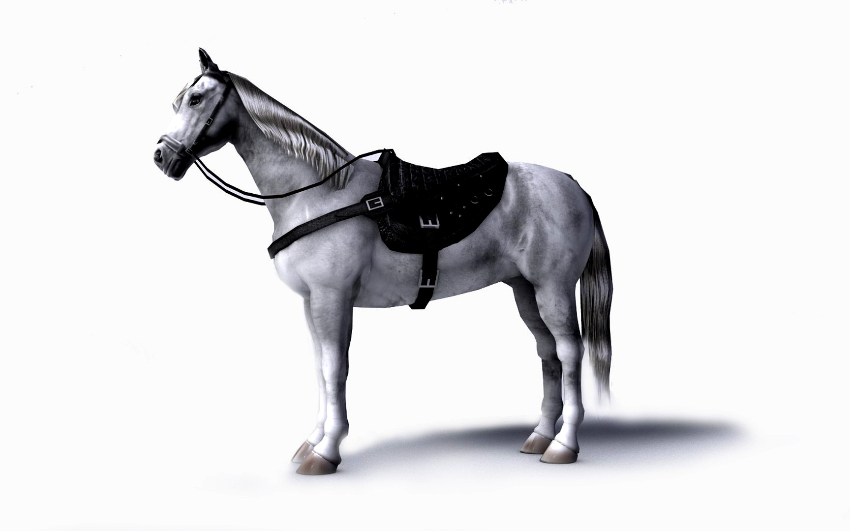 White horse with saddle and bags