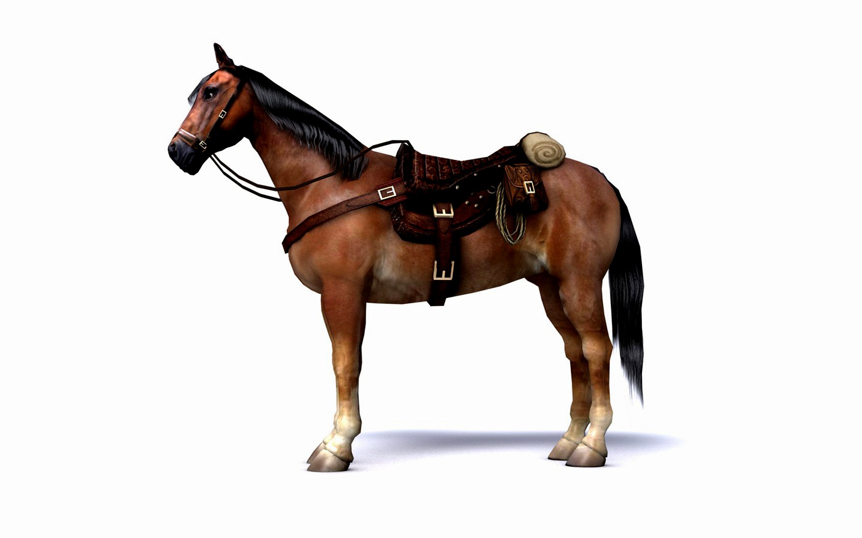 Brown Horse with saddle and packs