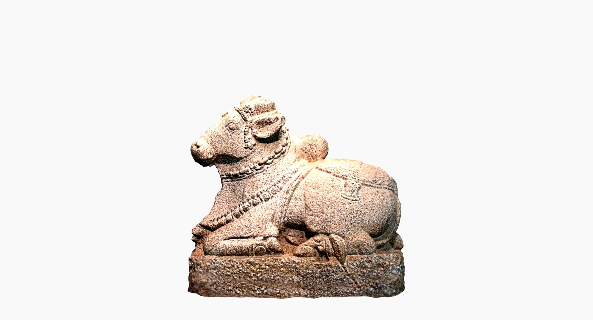 Nandi Bull