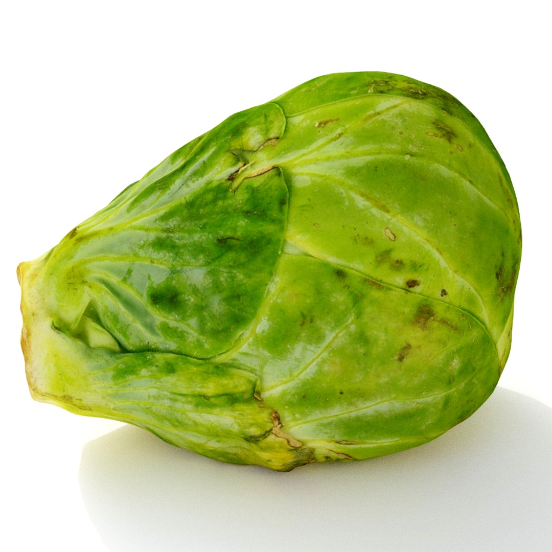 Brussels Sprout 4