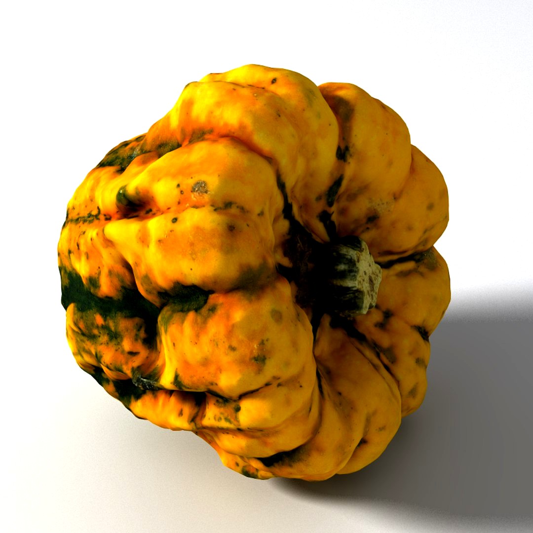 Pumpkin 6