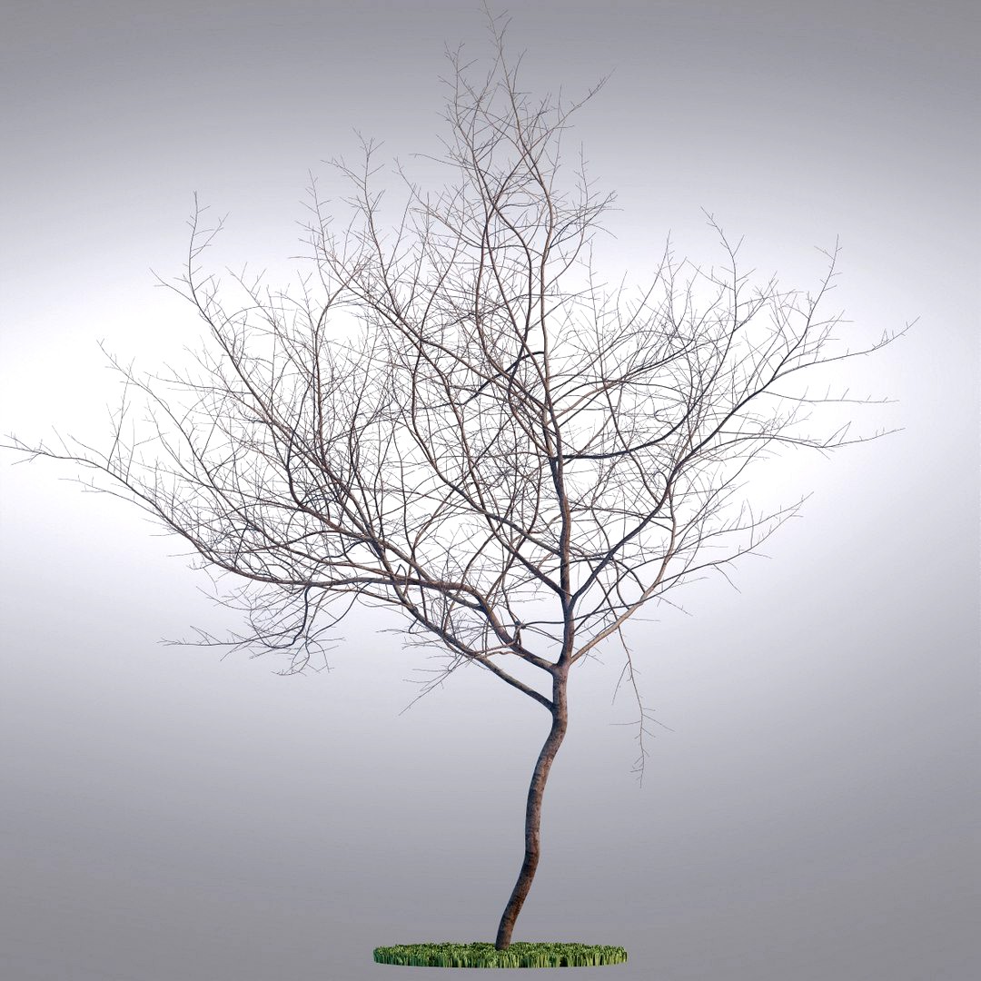 HI Realistic Series Tree - 019