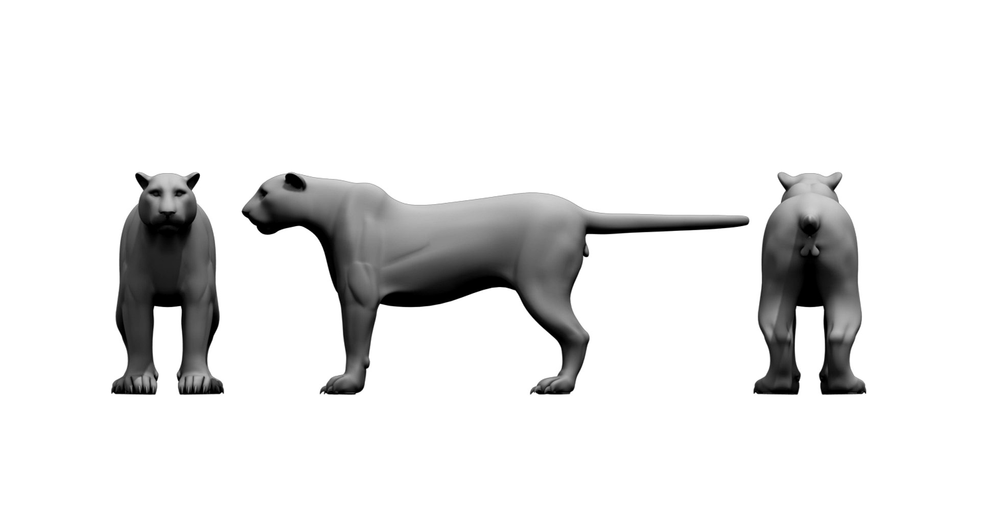 tiger