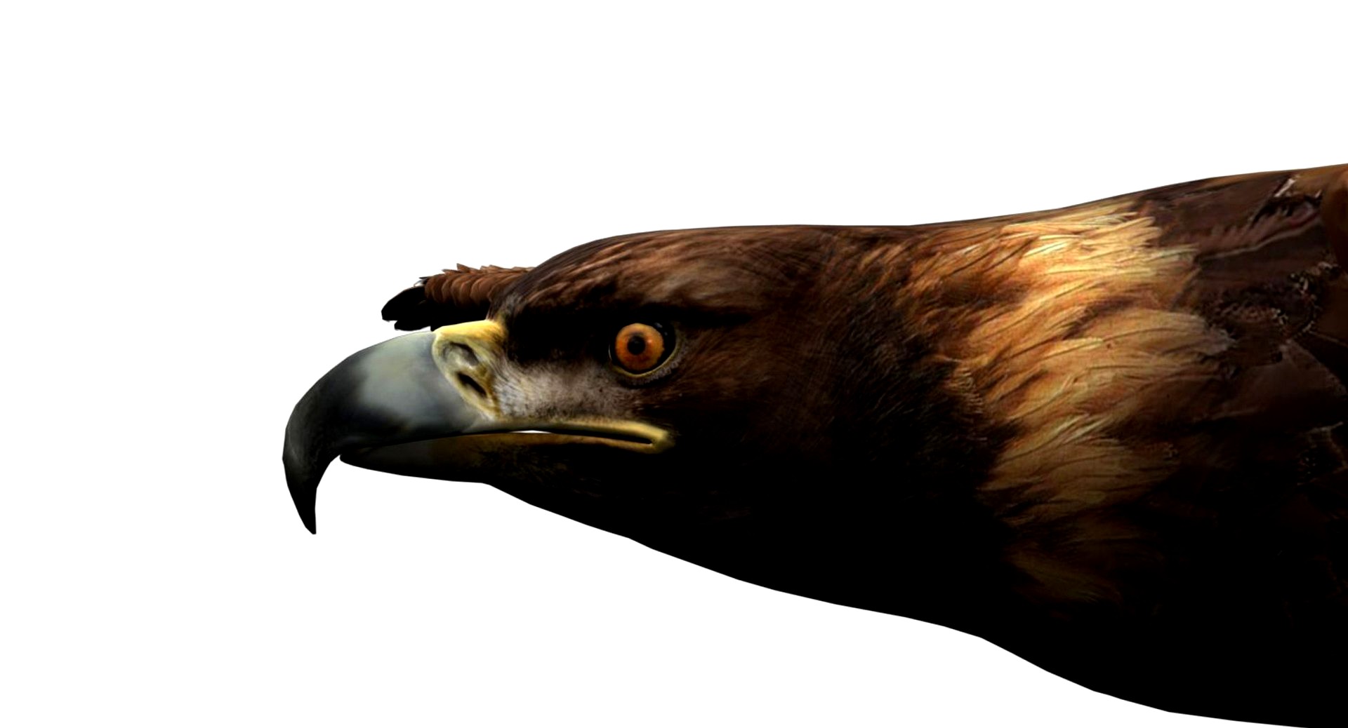 EAGLE