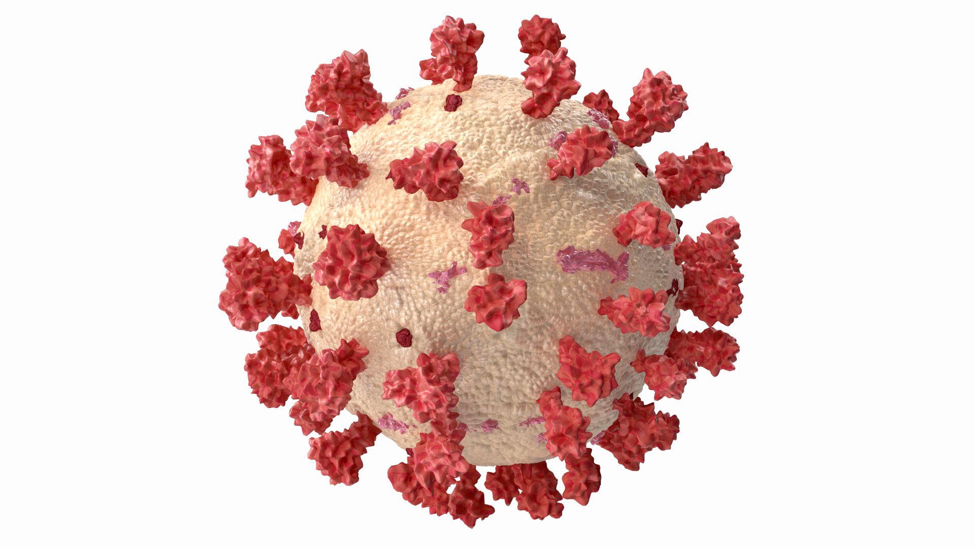 CORONA VIRUS