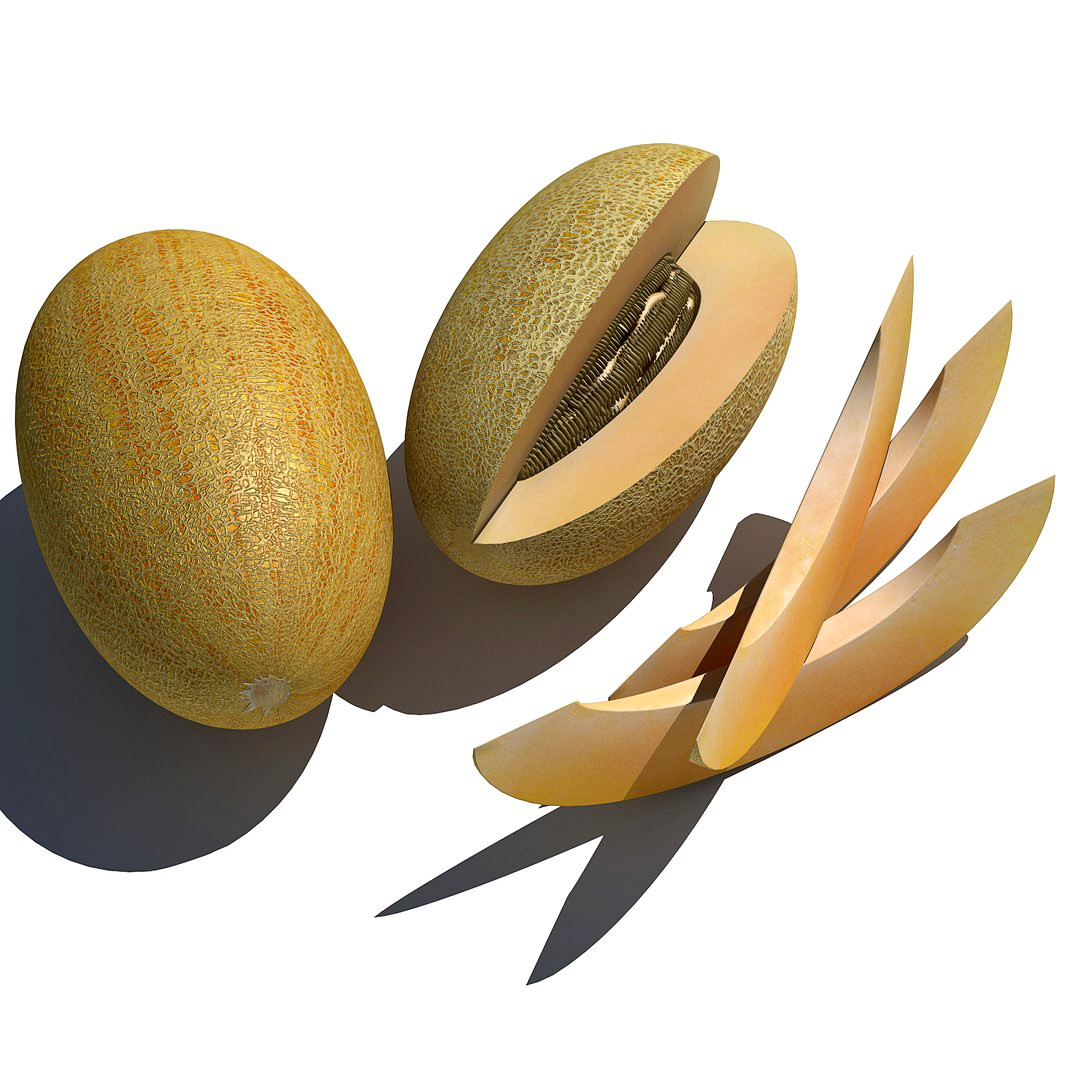 Melon