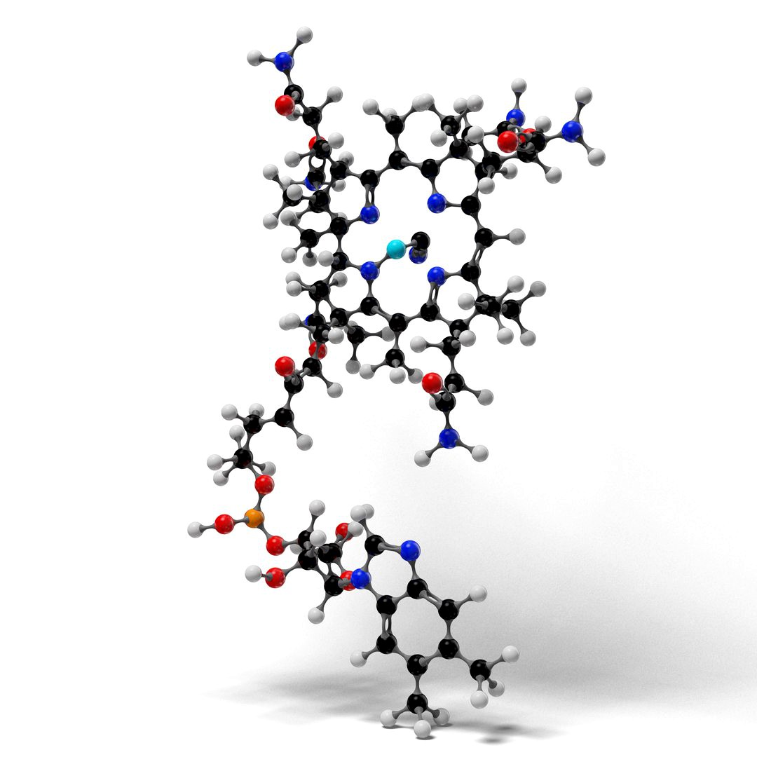 3D Cyanocobalamin Vitamin B12 Molecular model C43H66N12O12S2