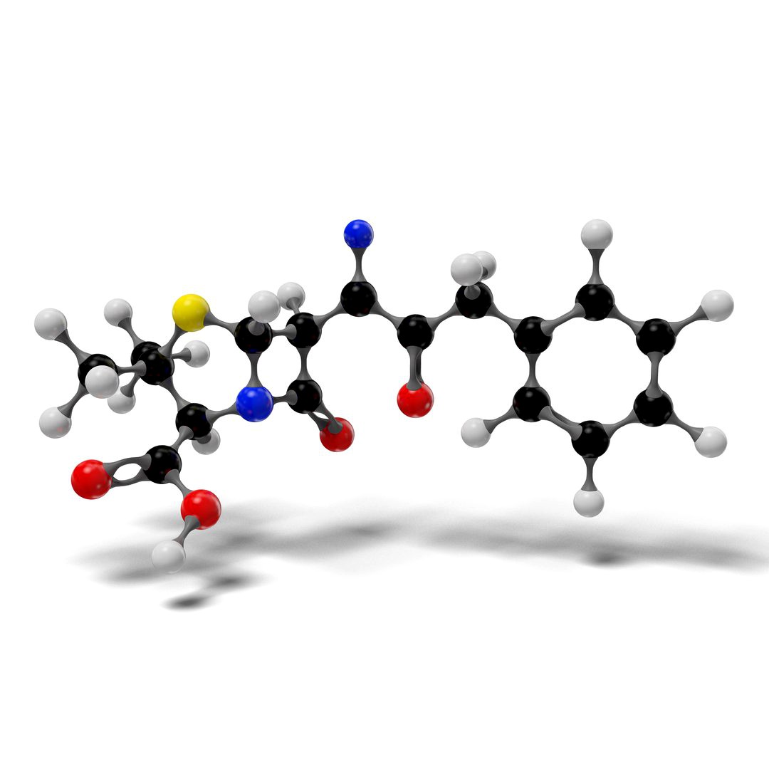 3D Penicillin G Molecular model C16H18N2O4S