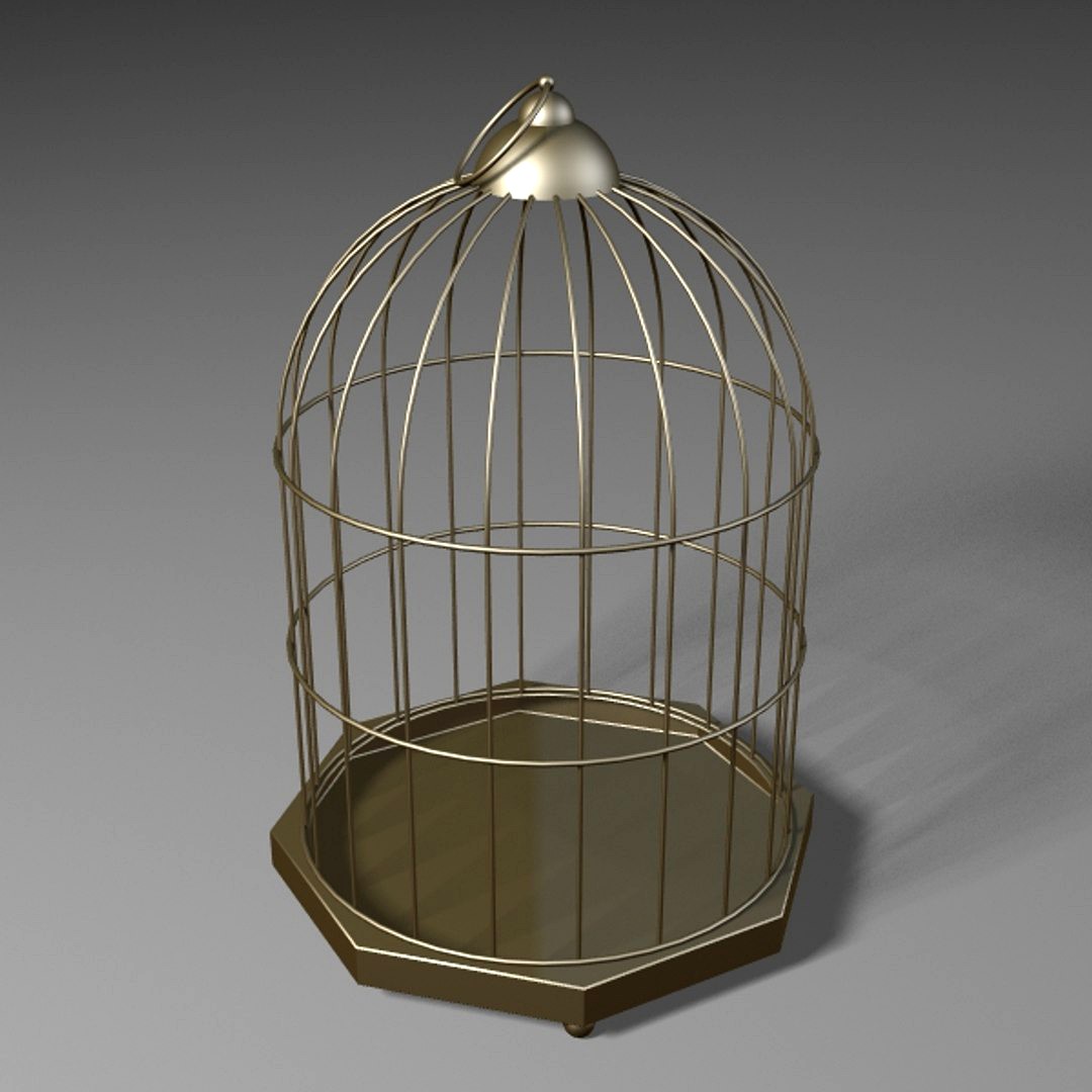 Brass Cage