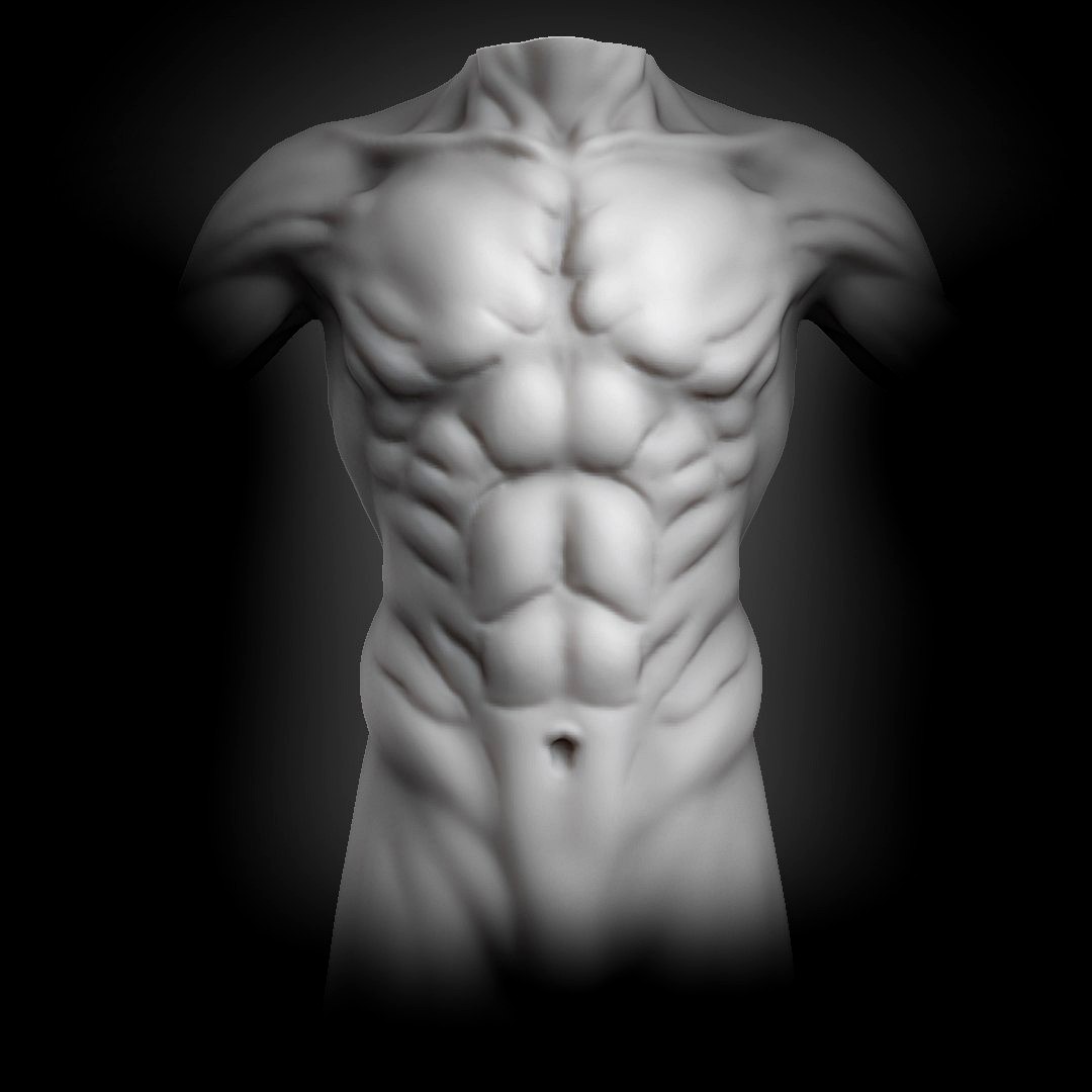 Creature Muscular Torso