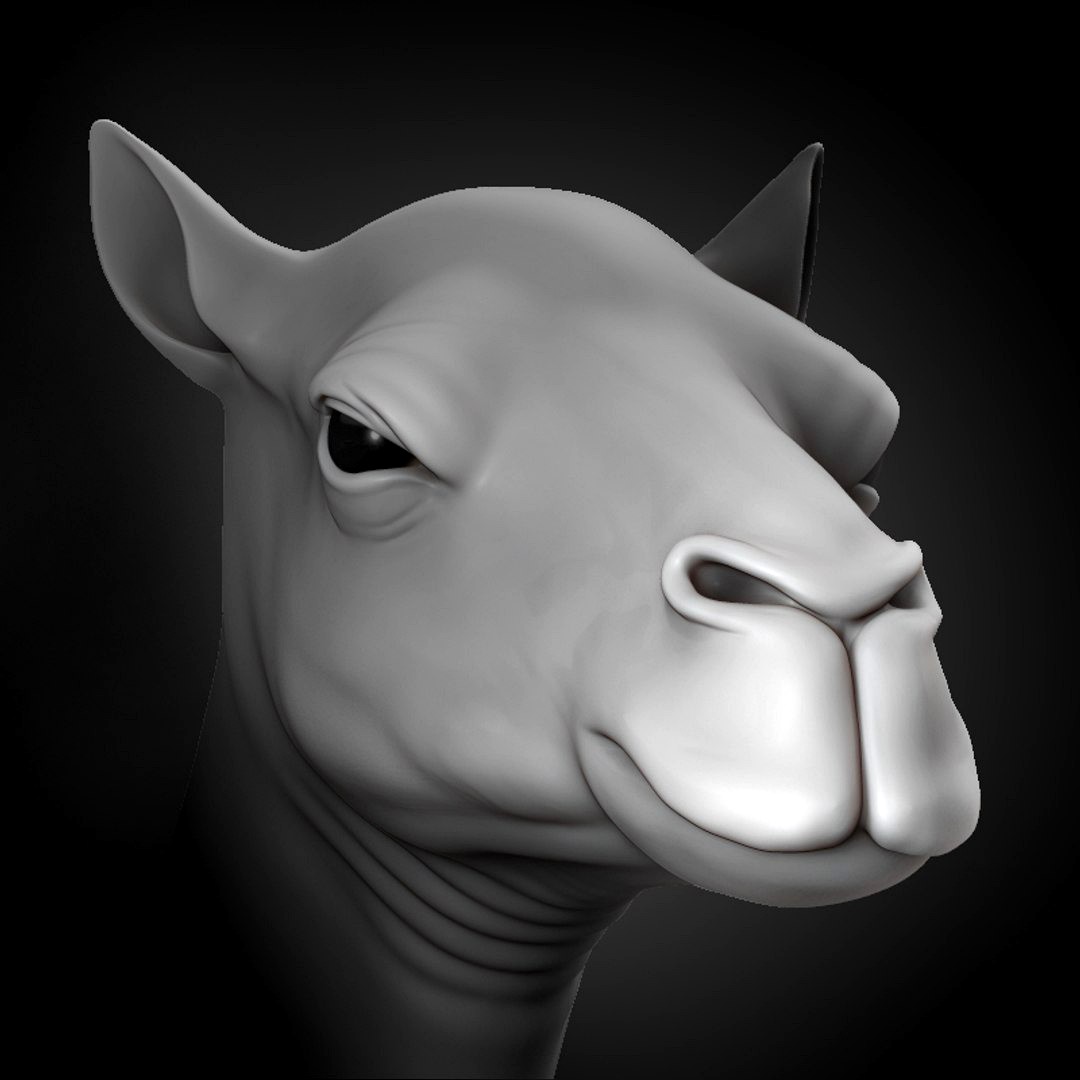 Camel Head