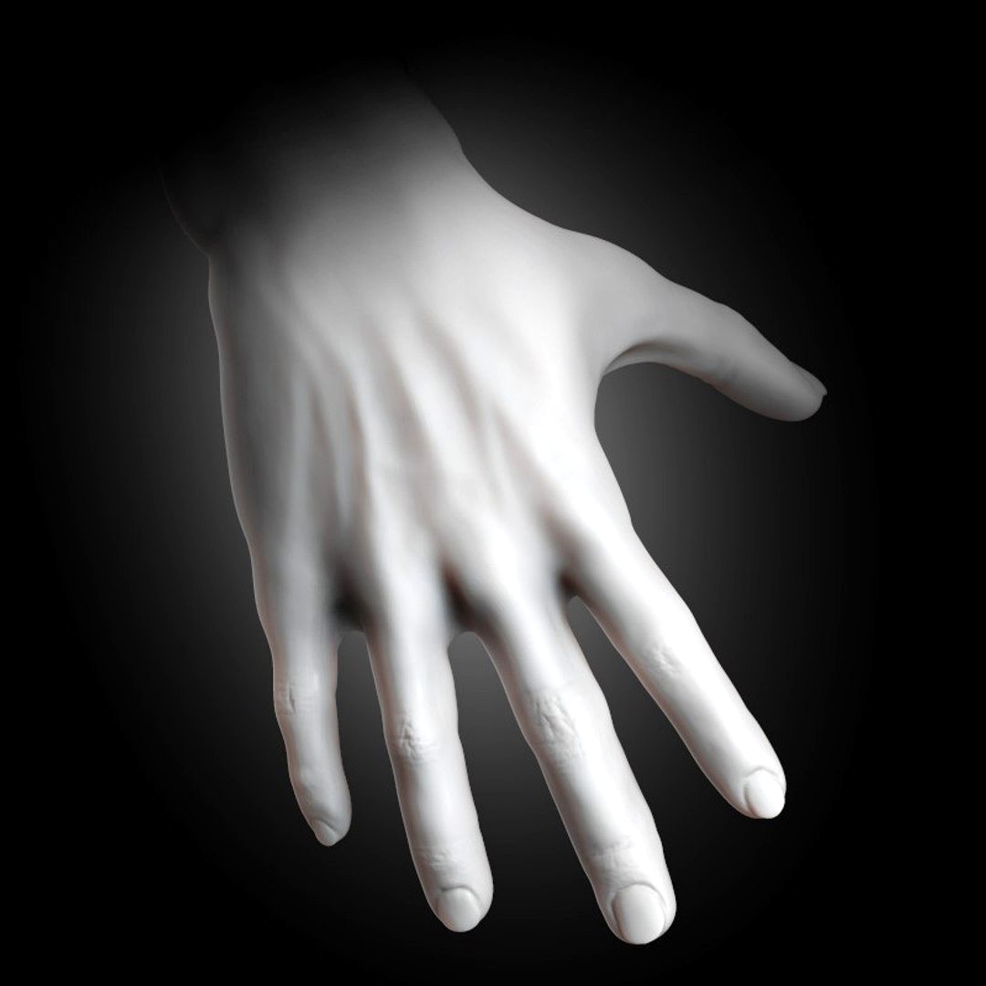 Muscular Human Hand