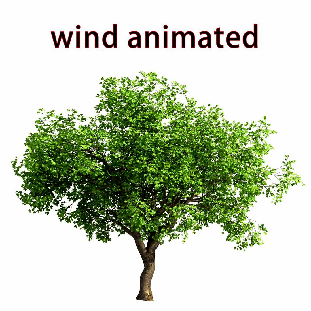 wind tree 05