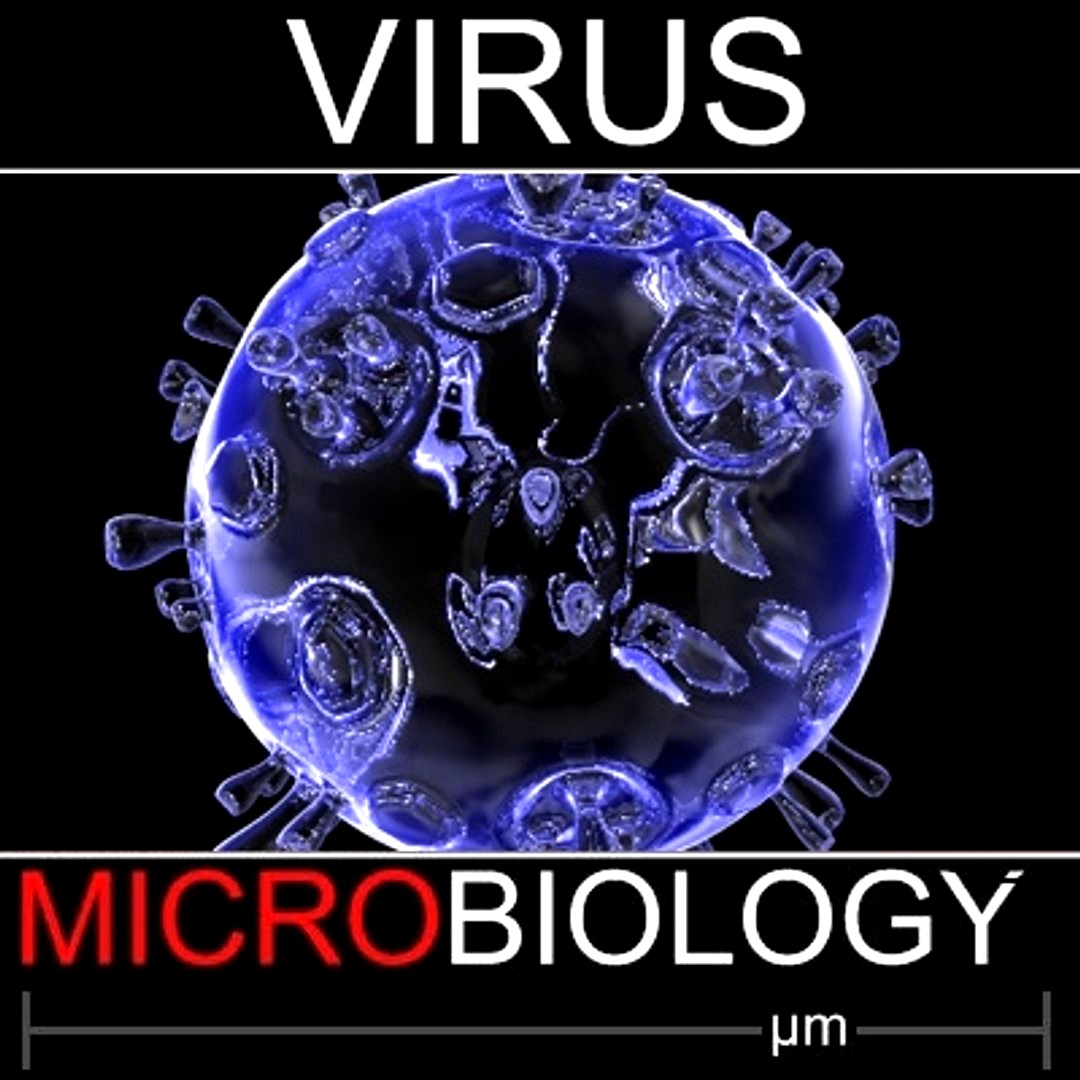Virus