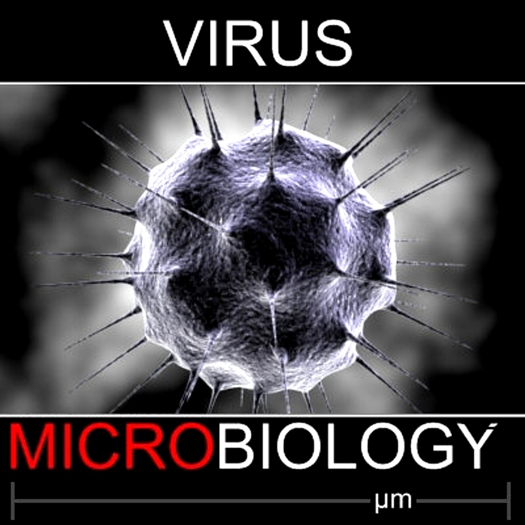 virus 29