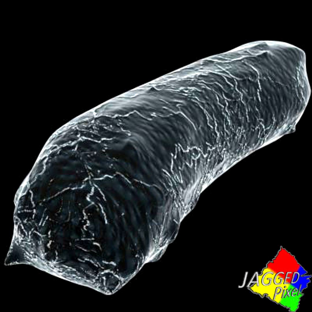 bacillus 5
