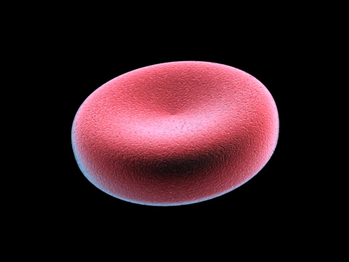 blood cell