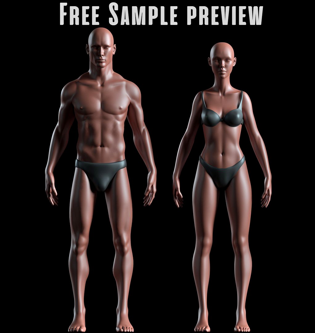 Realistic Human Basemesh - Male and Female - Free Sample Preview