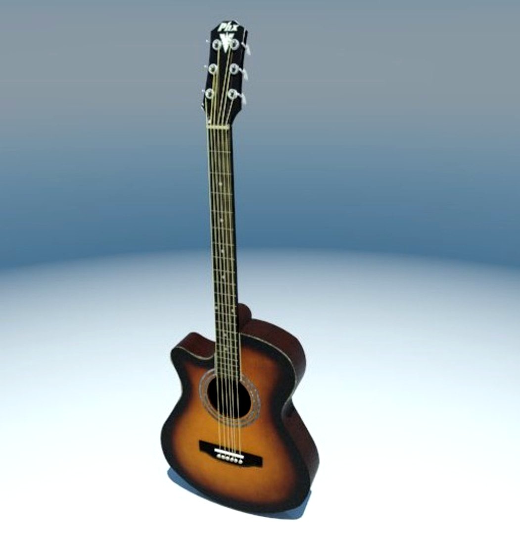 Guitar