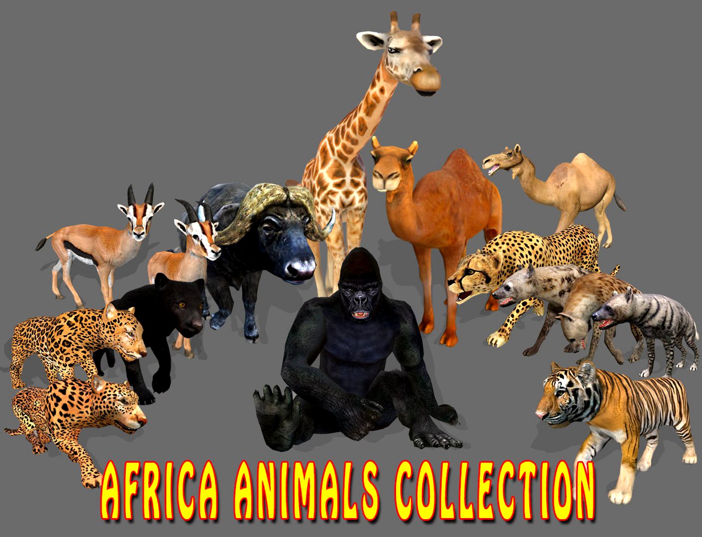 Big Collection Africa Animals - Animated