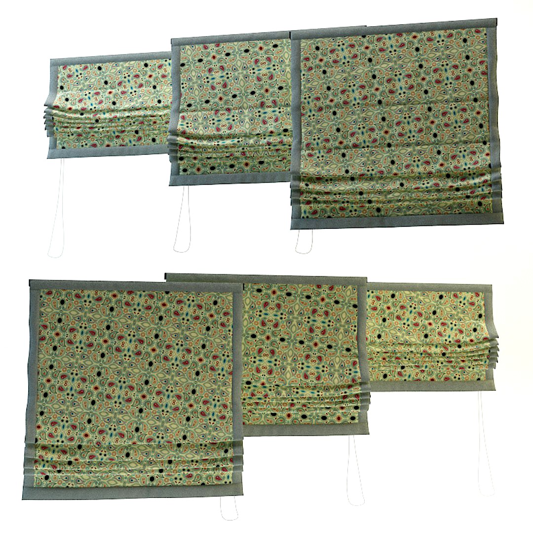 Roman Roller Shades(3)