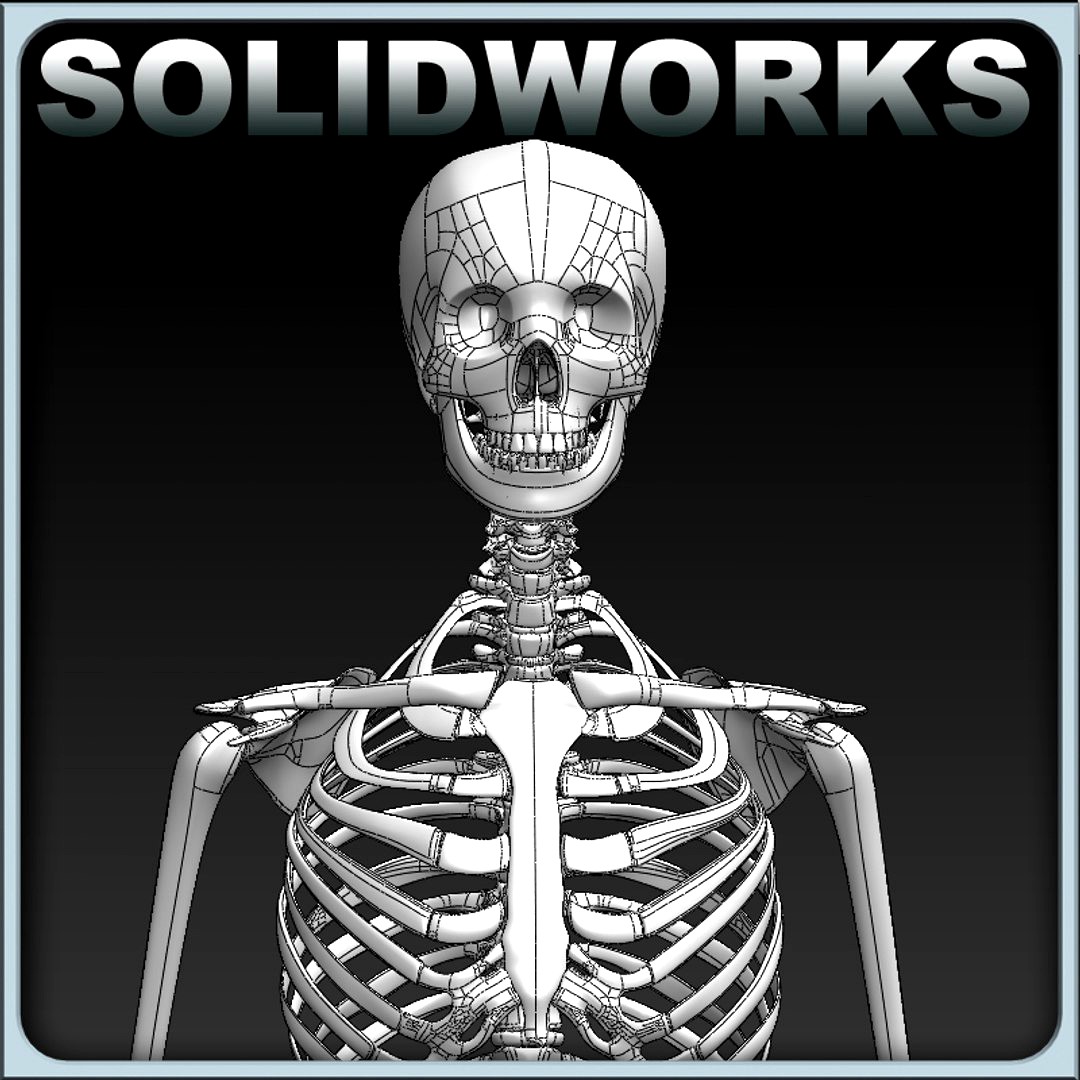 Solidworks Skeleton