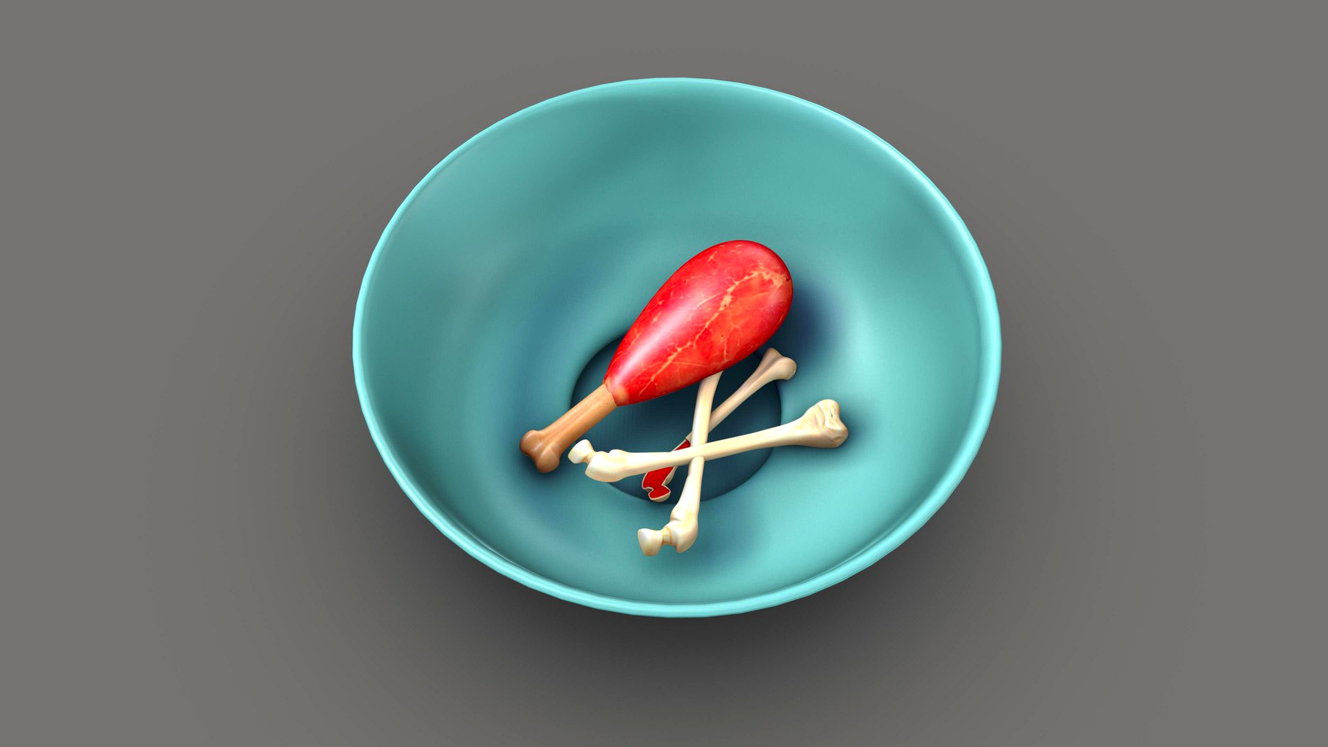 Dog's Food in Bowl