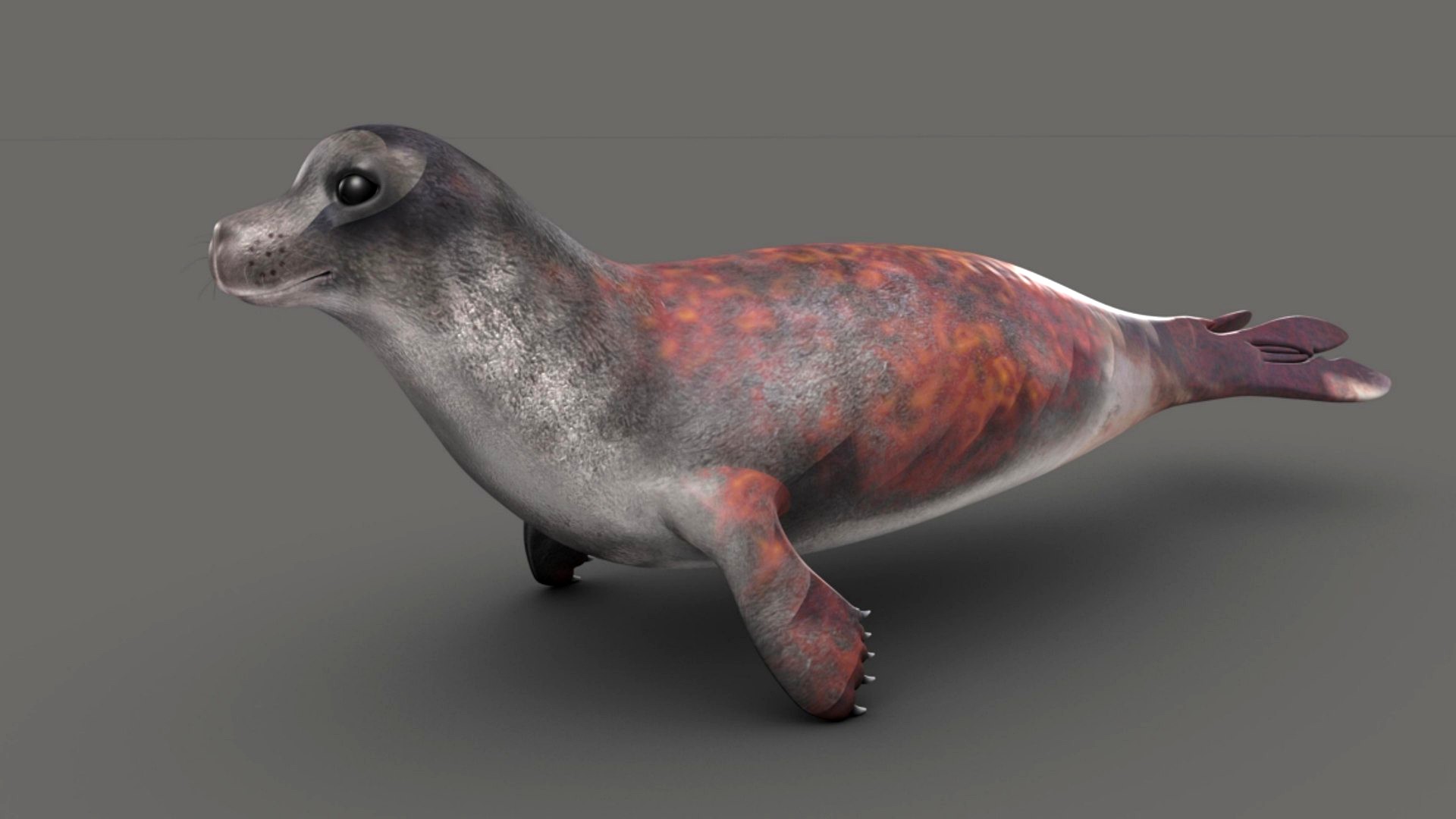 Seal